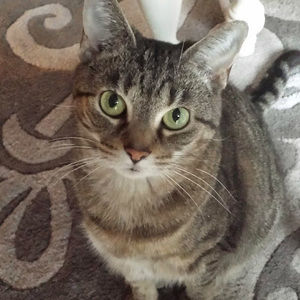 Meet your Posher, Jenny